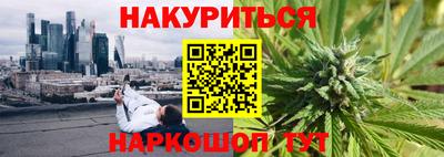 шишки Будённовск