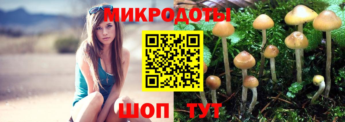 Наро-Фоминск  Галлюциногенные грибы Cubensis  Вход с VPN 