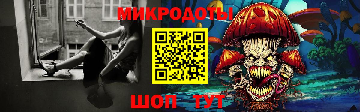 Псилоцибиновые грибы мицелий Наро-Фоминск